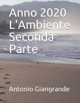 Book cover for Anno 2020 L'Ambiente Seconda Parte