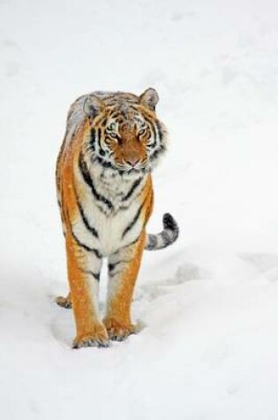 Cover of Siberian Tiger in the Snow (for the Love of Tigers)