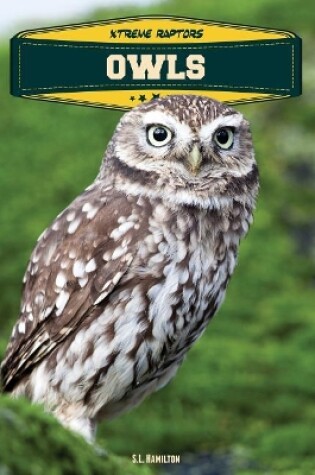 Cover of Owls