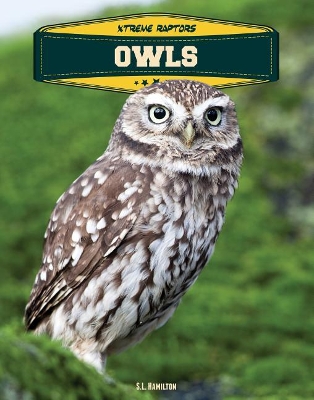 Cover of Owls