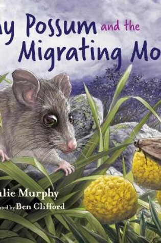Cover of Tiny Possum and the Migrating Moths