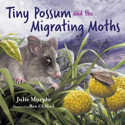 Book cover for Tiny Possum and the Migrating Moths