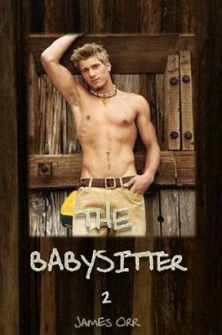 Cover of The Babysitter 2
