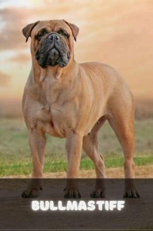 Cover of Bullmastiff