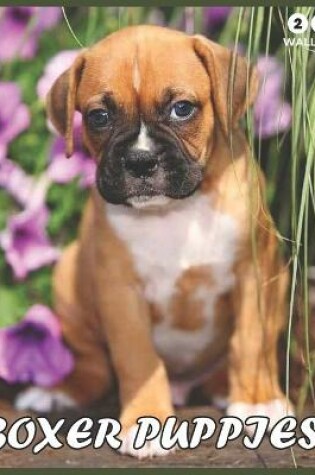 Cover of Boxer Puppies 2021 Wall Calendar