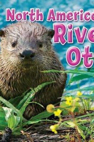 Cover of North American River Otter