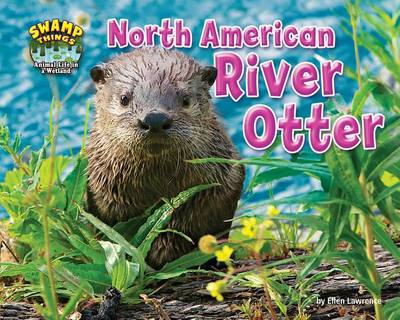 Book cover for North American River Otter