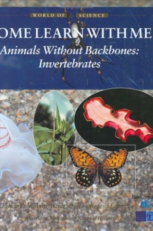 Cover of Animals Without Backbones