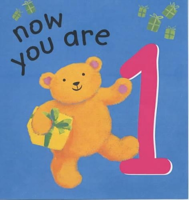 Cover of Now You are 1