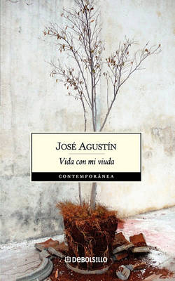 Book cover for Vida Con Mi Viuda