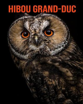 Book cover for Hibou Grand-Duc