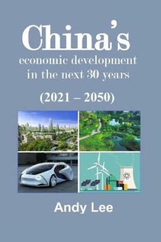Cover of China's Economic Development in the next 30 years