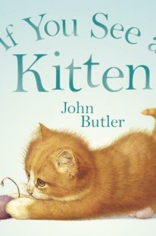 Cover of If You See A Kitten