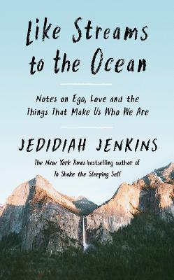 Book cover for Like Streams to the Ocean