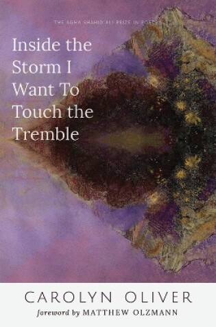 Cover of Inside the Storm I Want to Touch the Tremble