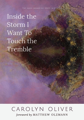 Cover of Inside the Storm I Want to Touch the Tremble