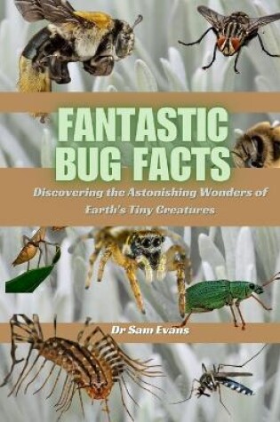 Cover of Fantastic Bug Facts