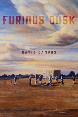 Book cover for Furious Dusk