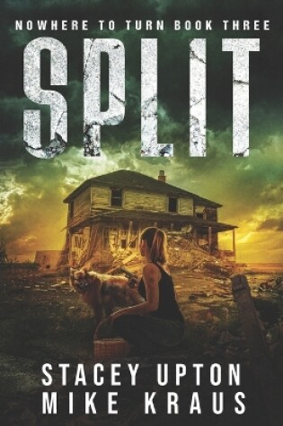 Cover of Split