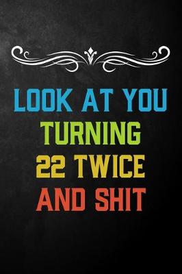 Book cover for Look At You Turning 22 Twice And Shit