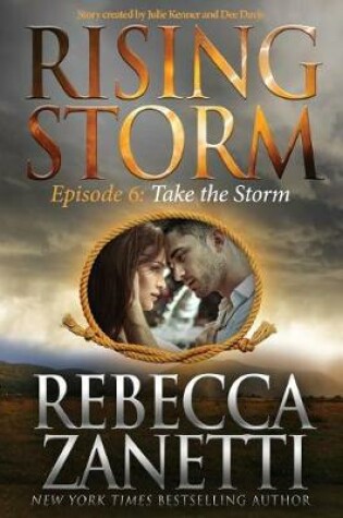 Cover of Take the Storm