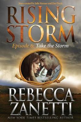Book cover for Take the Storm