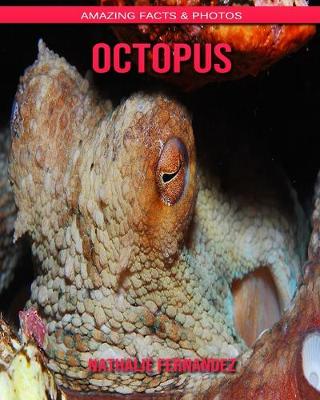 Book cover for Octopus