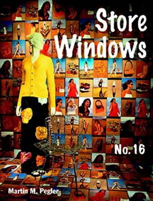 Book cover for Store Windows