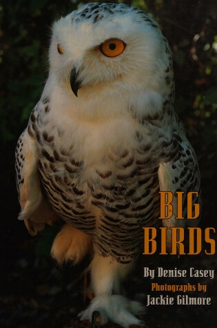 Cover of Big Birds