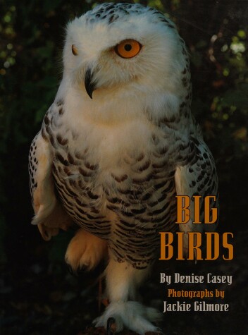 Book cover for Big Birds