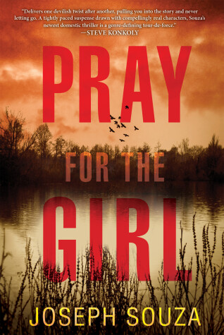 Book cover for Pray for the Girl