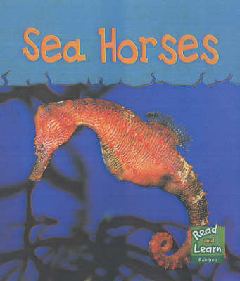 Book cover for Sea Life: Sea Horses