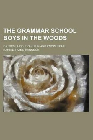 Cover of The Grammar School Boys in the Woods; Or, Dick & Co. Trail Fun and Knowledge