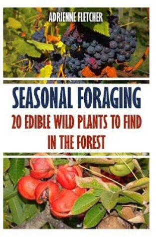 Cover of Seasonal Foraging