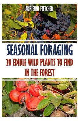 Book cover for Seasonal Foraging