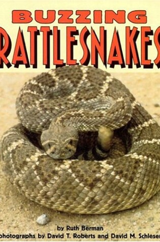 Cover of Buzzing Rattlesnakes