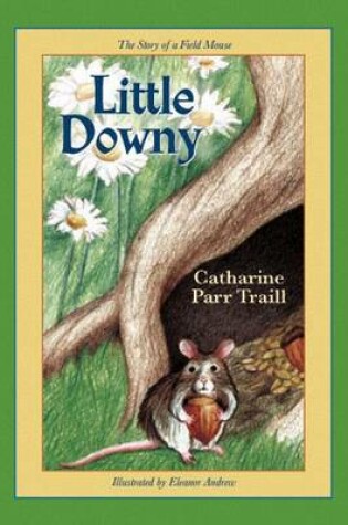 Cover of Little Downy