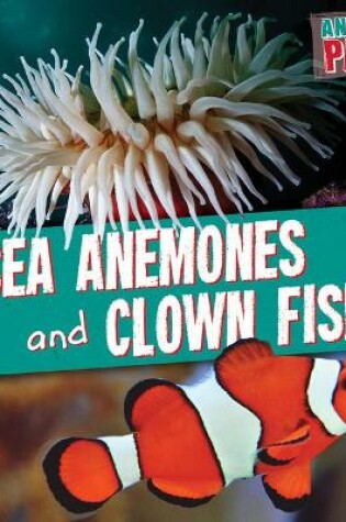 Cover of Sea Anemones and Clown Fish