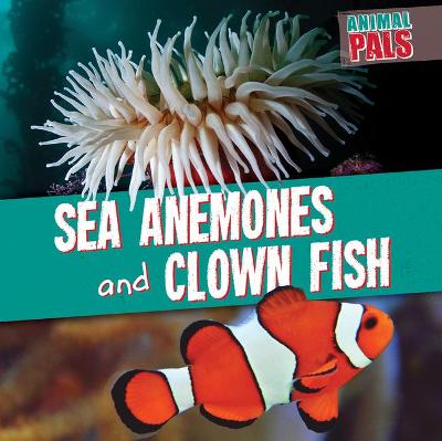 Cover of Sea Anemones and Clown Fish