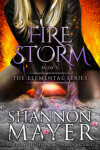 Book cover for Firestorm