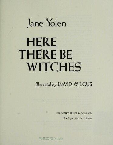 Book cover for Here There Be Witches