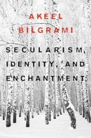 Cover of Secularism, Identity, and Enchantment