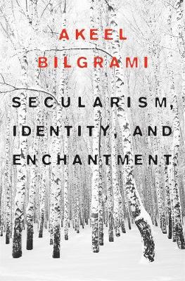 Cover of Secularism, Identity, and Enchantment