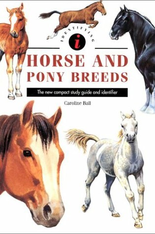 Cover of Identifying Horse & Pony Breeds