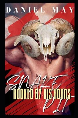 Book cover for Hooked by his Horns