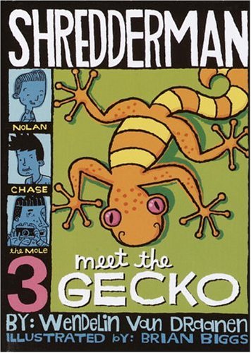 Book cover for Meet the Gecko