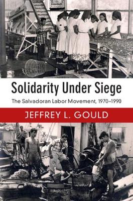 Book cover for Solidarity Under Siege