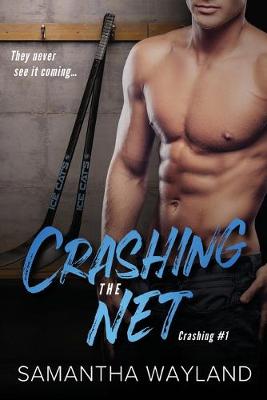 Book cover for Crashing the Net