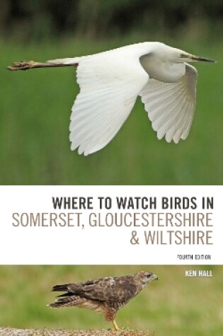 Cover of Where To Watch Birds in Somerset, Gloucestershire and Wiltshire