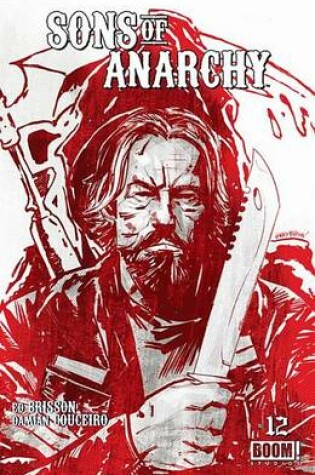 Cover of Sons of Anarchy #12